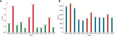 In-depth investigation of the point mutation pattern of HIV-1